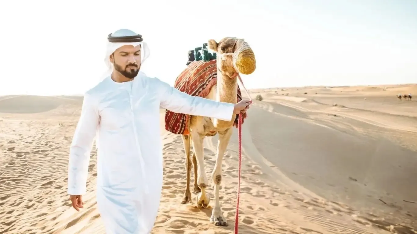 Boat Dinner Dubai Service Review